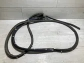 Rear door rubber seal (on body)