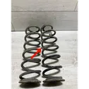 Rear coil spring