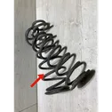 Rear coil spring