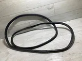 Trunk rubber seal (body)