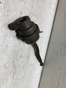 Valve vacuum