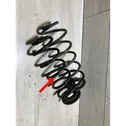 Rear coil spring