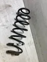 Rear coil spring