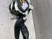 Sicherheitsgurt hinten