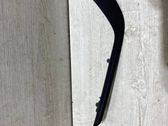 Rear door trim (molding)