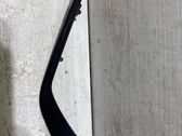 Other rear door trim element