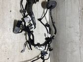 Cableado de puerta delantera