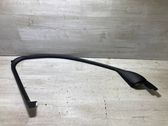 Other front door trim element