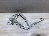 Engine bonnet/hood hinges