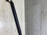 Tailgate/trunk strut/damper