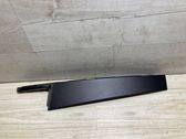 Rear door glass trim molding
