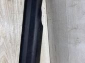 Front sill trim cover
