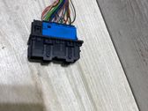 Rear door wiring loom