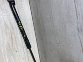 Tailgate/trunk strut/damper