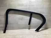 Rear door glass trim molding