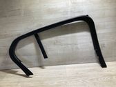 Rear door glass trim molding