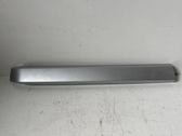 Roof trim bar molding cover
