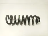 Rear coil spring