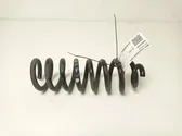 Rear coil spring