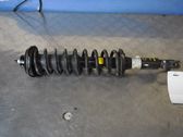 Rear shock absorber/damper