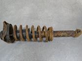 Stoßdämpfer hinten