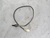 Sonde lambda