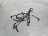 Ignition plug leads
