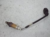 Sonde lambda