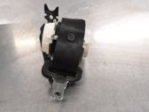 Sicherheitsgurt hinten