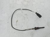 Abgastemperatursensor