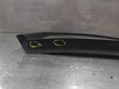 Rear side window