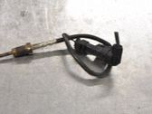 Abgastemperatursensor