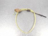Abgastemperatursensor