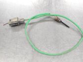 Abgastemperatursensor