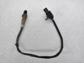 Sonde lambda