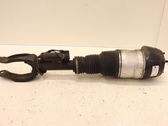 Front shock absorber with coil spring