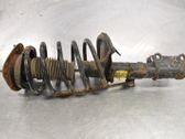 Front shock absorber with coil spring