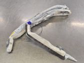 Airbag del techo