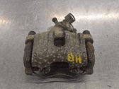 Bremssattel hinten