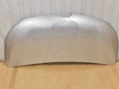 Motorhaube