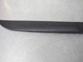 Rear door trim (molding)