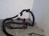 Other wiring loom