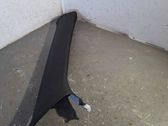 (C) pillar trim