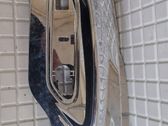 Fender trim (molding)