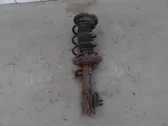 Front shock absorber with coil spring