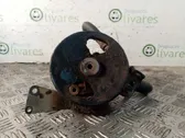 Electric power steering pump