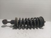 Amortiguador delantero con muelle espiral