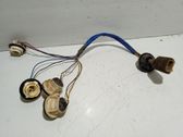 Cubierta del soporte de la lámpara de la luz trasera