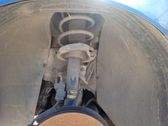 Front shock absorber with coil spring
