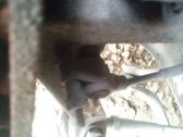 Sensor ABS de aceleración de rueda